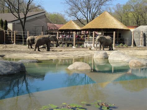 Cle met zoo - Contact. Phone. 216-635-3329. Address. 3900 Wildlife Way, Cleveland, OH 44109. Reciprocal Zoos. Members enjoy discounted admission to many other zoos in North America. View Zoos. 